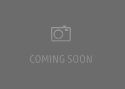 2012 SPECTRE / ARROW VENDETTA 30′ MERCURY RACING 600 SCI..SOLD